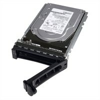 DELL 1TB 7.2K RPM SATA