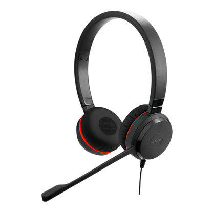 Professional headset with flexible connectivity