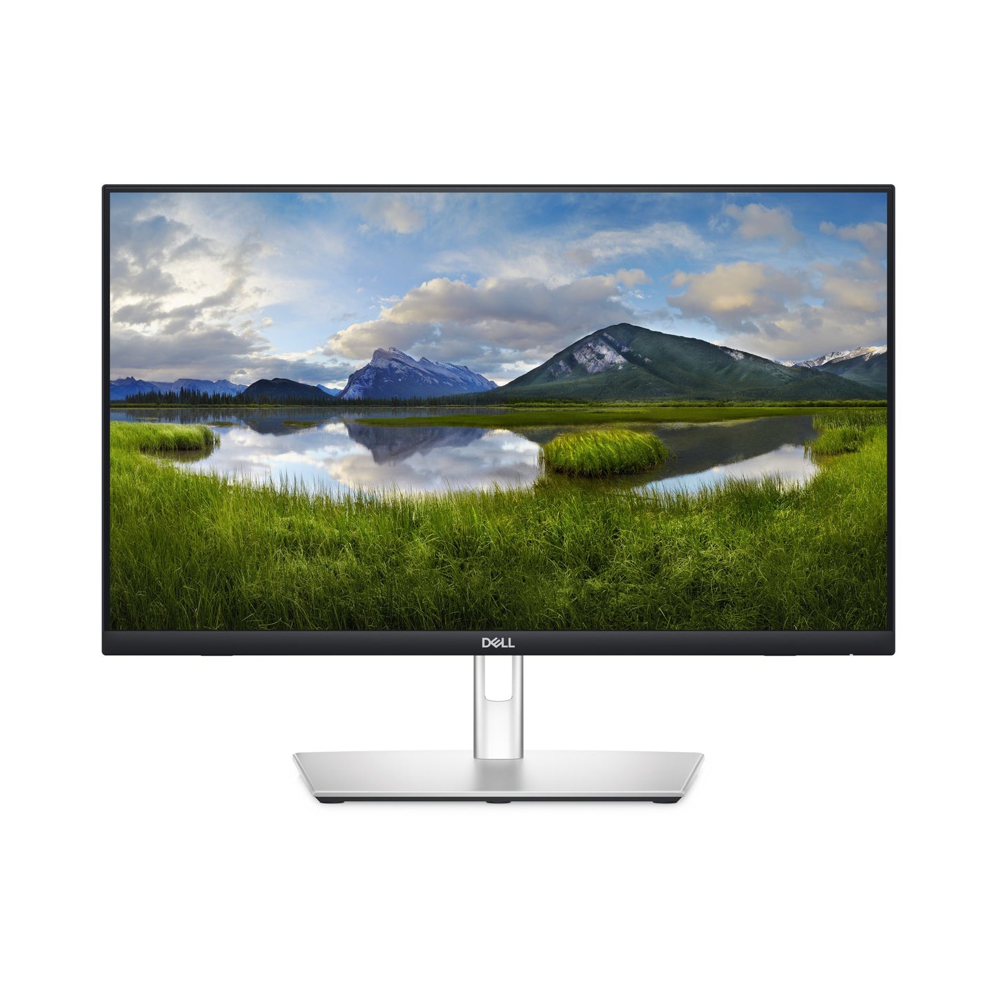 DELL PRO PLUS 23.8" (16:9)