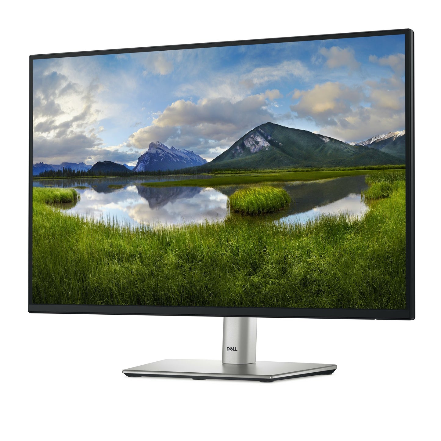 DELL PRO PLUS 24" (16:10)