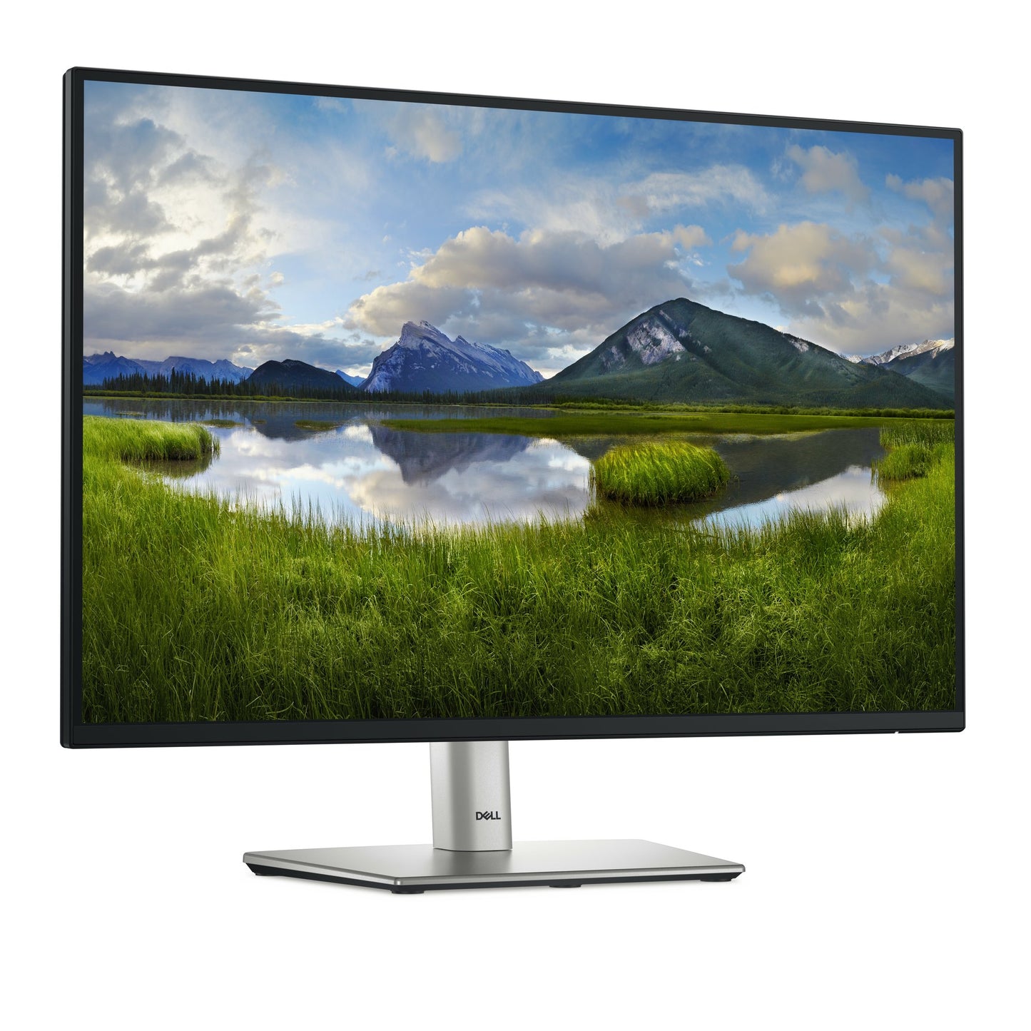 DELL PRO PLUS 24" (16:10)