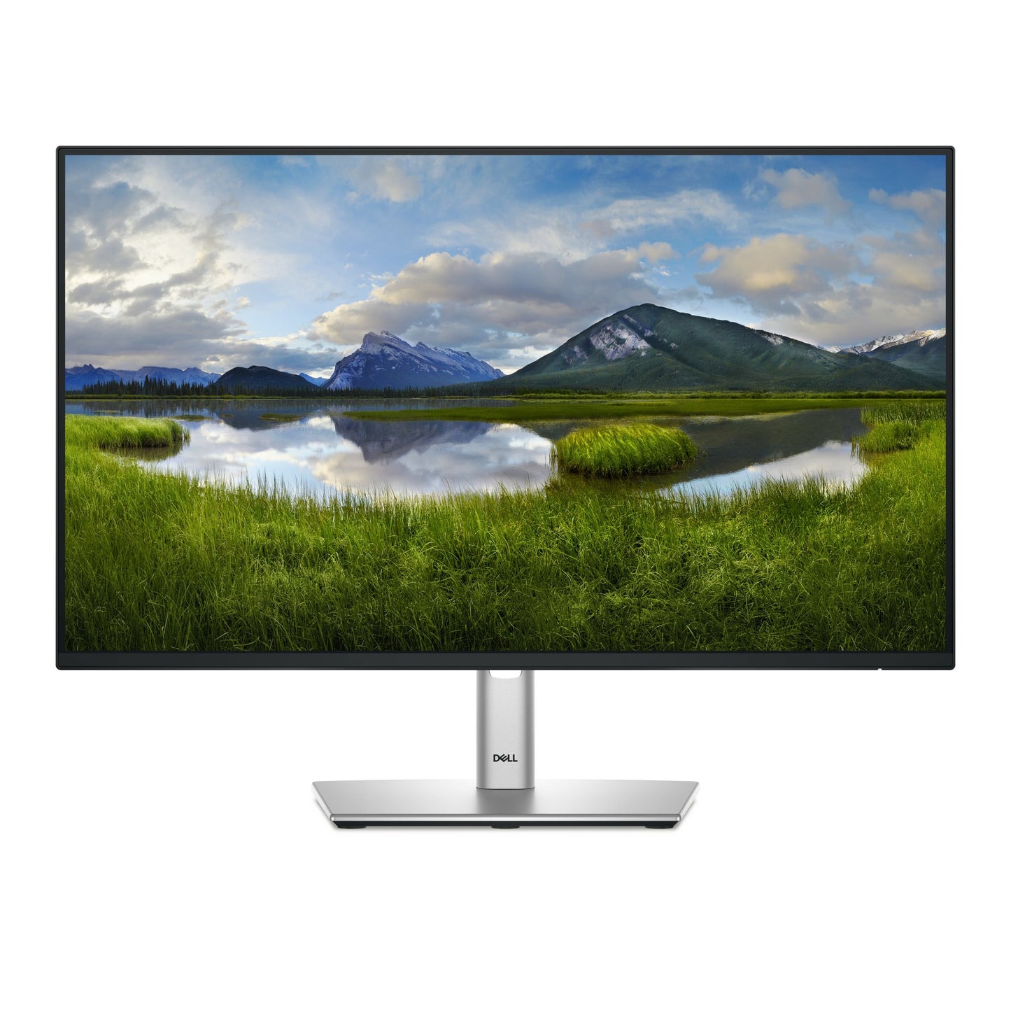 DELL PRO PLUS 23.8" (16:9)