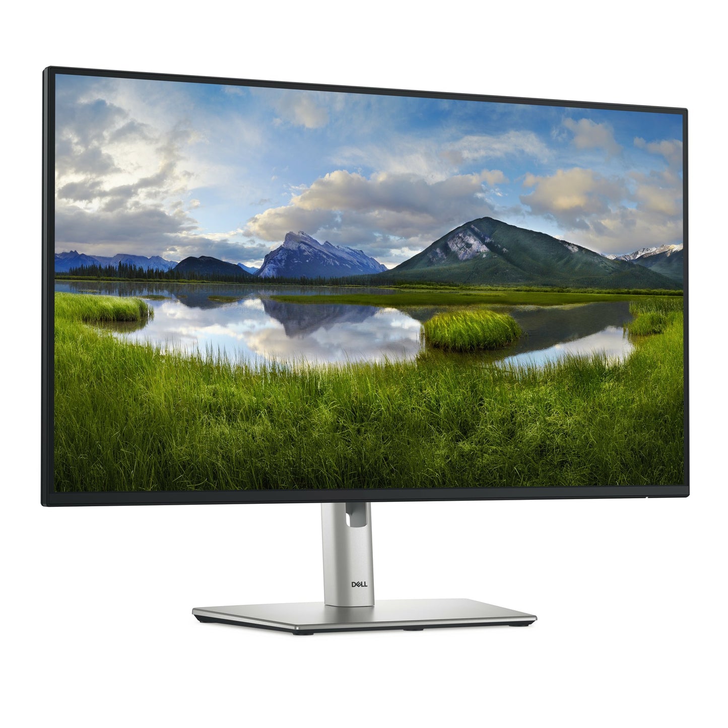 DELL PRO PLUS 27" (16:9)