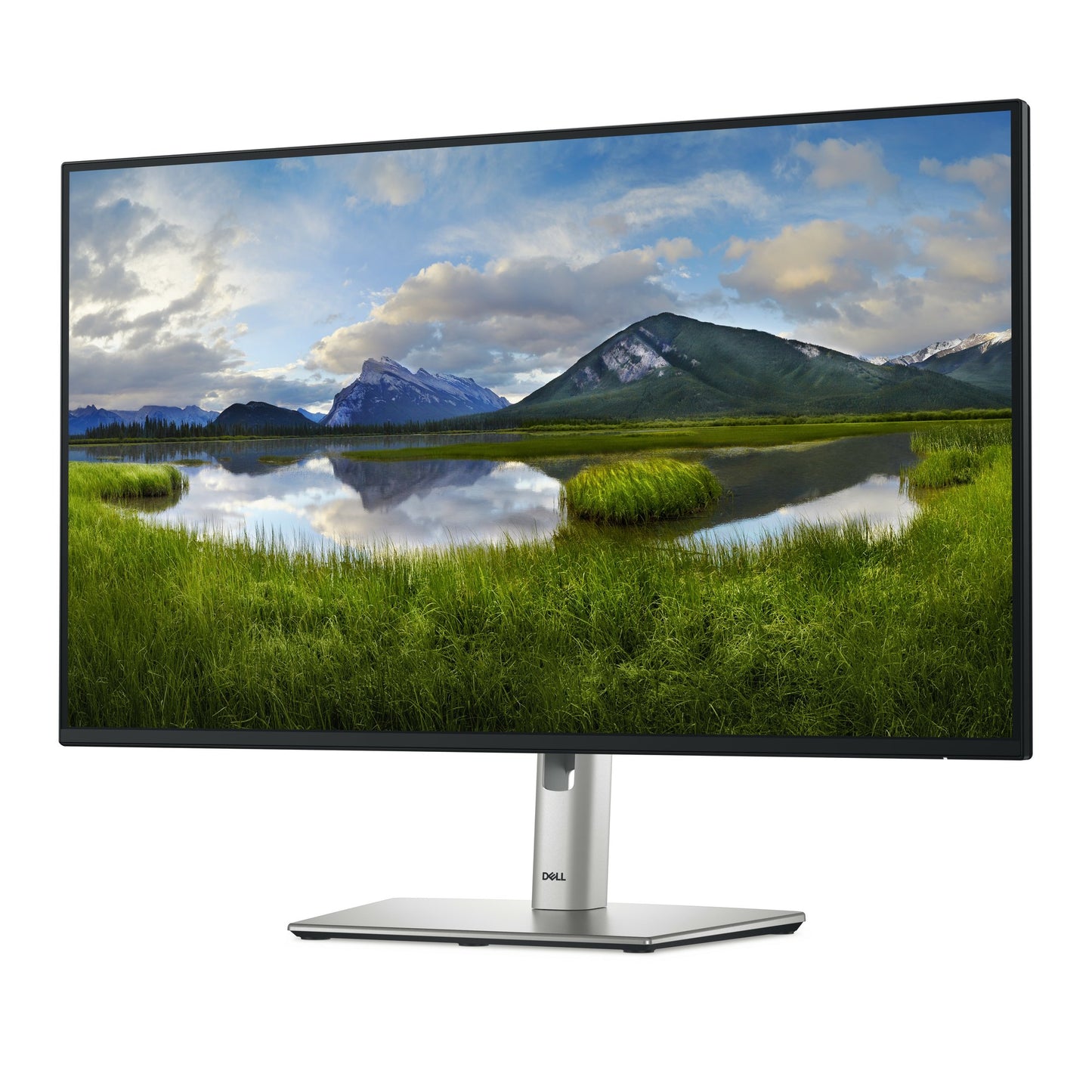 DELL PRO PLUS 27" (16:9)